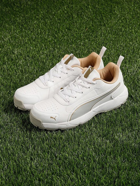Puma gold spikes cricket shoes Clearance