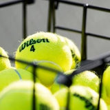Wilson Tennis Ball - Championship