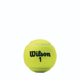 Wilson Tennis Ball - Championship
