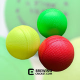 Plastic Balls - Training Equipment