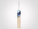 New Balance DC Players Edition (23/24) - Cricket Bat