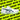 Asics Gel Peake 3 - Cricket Shoes