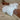 Phantom Limited - Batting Gloves