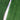 BDM Dynamic Power Xtreme - EW. Cricket Bats