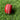 EM. Seam Training Ball - Training Balls