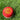EM. Seam Training Ball - Training Balls