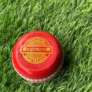 EM. Seam Training Ball - Training Balls