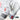 Gray-Nicolls XRD Legend - Keeping Inners