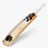 DSC David Warner Players - Cricket Bat