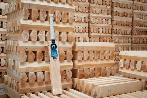 GM Players Edition BS - Ben Stokes Cricket Bat